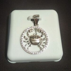 Sterling Silver Cancer Pendant